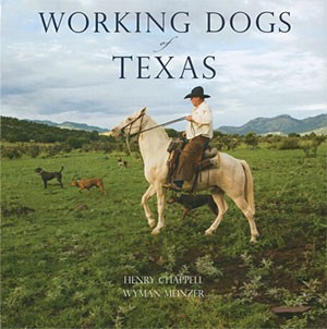 Working Dogs of Texas