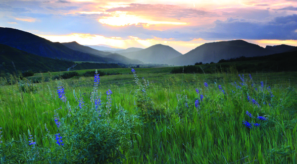 Craig Ranch