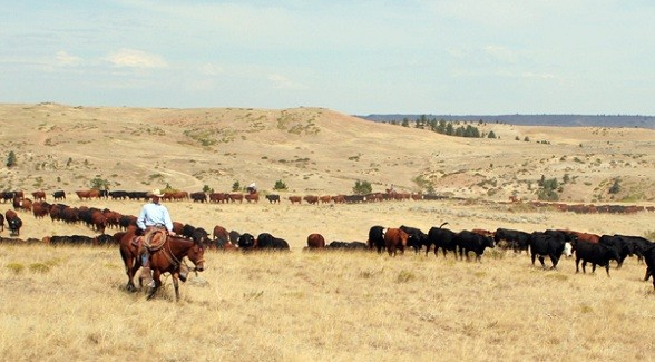 2011 Land Report 100: Scott Family 2011 Land Report 100: Scott Family