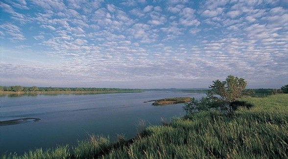 Royalty Brawl Along the Missouri