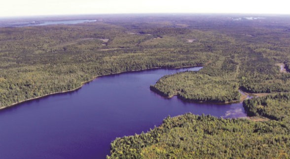 Sites de rencontre algerie