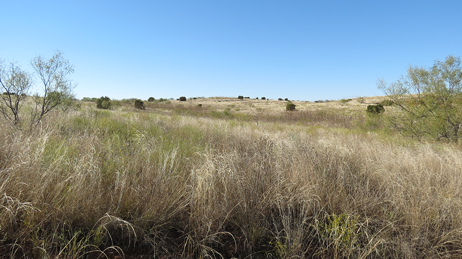 PEASE RIVER RANCH The Land Report