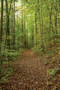 More than 80 percent of Falling Waters will remain undeveloped leaving miles of pristine forest and wooded trails for generations to come.