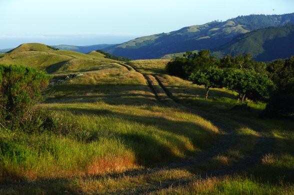 "All of us in the family, whenever we drive through the gates at San Simeon, we feel like we're home." - Steve Hearst