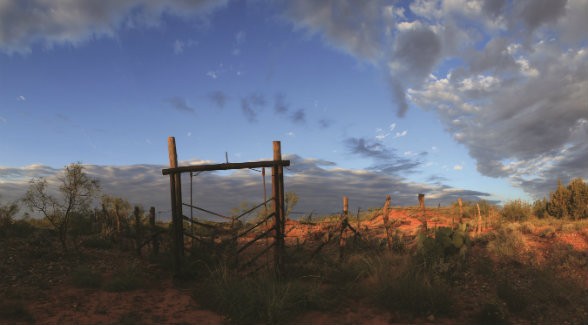 The Waggoner is home to countless traps, such as this one known as Red Jackson. Photo by Wyman Meinzer.
