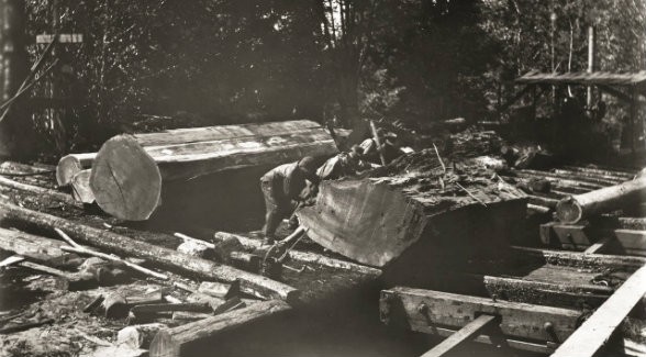 Beginning in the 1860s, the timber industry was the economic mainstay of Gualala, and it would remain so for more than a century.