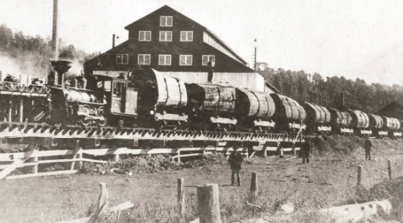 In the 1800s, log trains such as this one hauled a single old-growth redwood per railroad car to the sawmill in Gualala. Redwoods built San Francisco, then rebuilt it after the Great Earthquake and Fire of 1906.