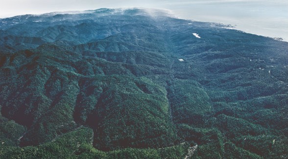 Along the coastline, two seas meet: an ocean of redwoods and the vast Pacific.