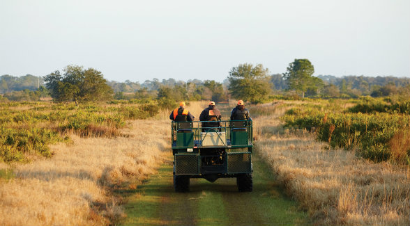 Thanks to neighbors such as Castaway Ranch, thousands of acres of grassy terrain spread out in every direction with sprawling motts of live oaks, sabal palm, and lobolly pine.