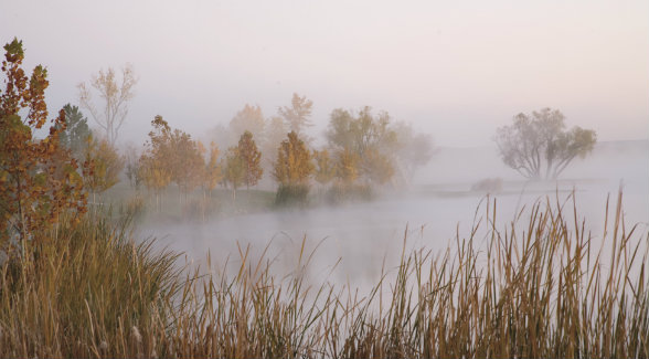 In addition to wildlife, Meinzer stalks ideal conditions, such as this autumn morning, on Boone Pickens’ Mesa Vista Ranch.