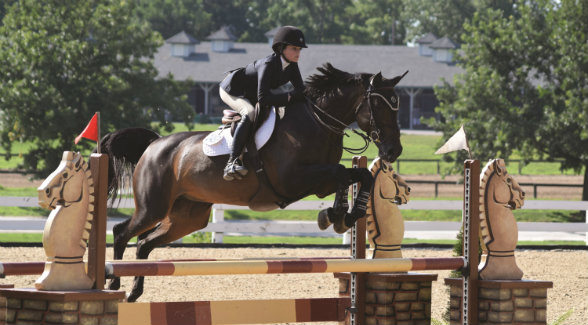 New York City native Kathryn Hall, 13, competes in the Winter Equestrian Festival in Wellington as well as in Lake Placid, Cleveland, Kentucky, Harrisburg, and the Washington International Horse Show. Ruler on Ice, the 2011 Belmont Stakes winner, was owned by her parents, Lori and George Hall.