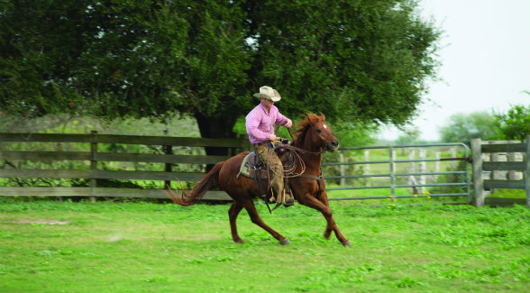 James Clement III warms up a grandson of Mr. San Peppy, known affectionately as “El Diablo,” near Santa Gertrudis Creek.