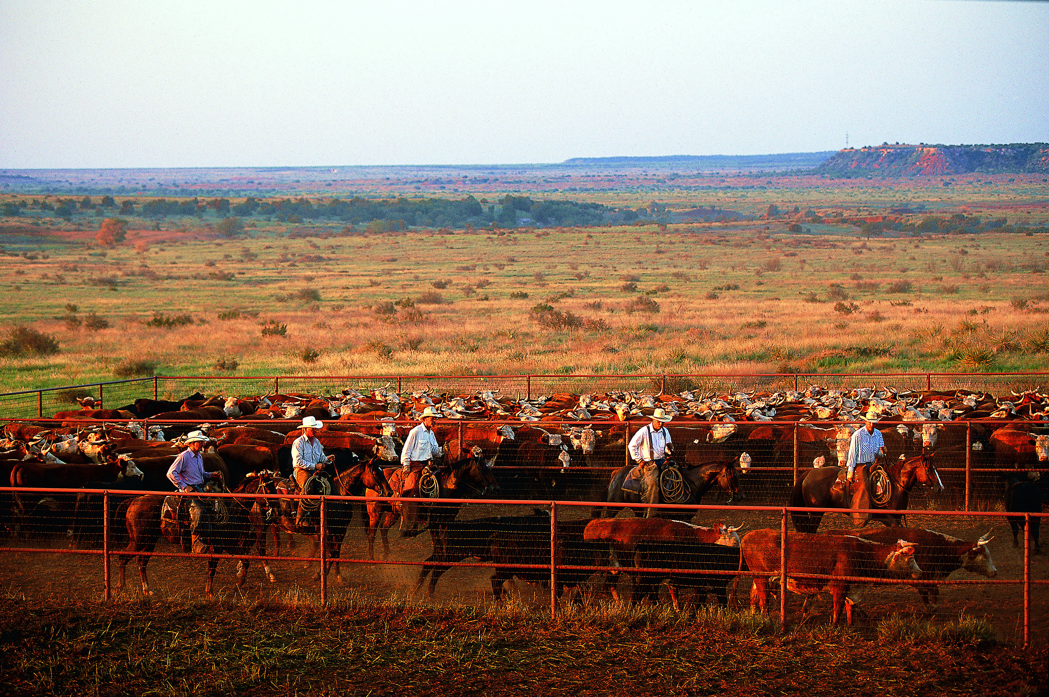 2016 Land Report Texas 10 The Land Report