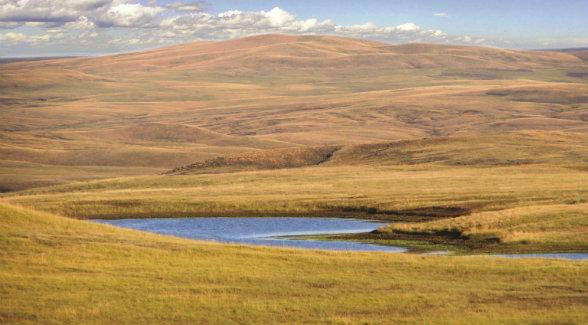 In September 1804, Lewis and Clark’s Corps of Discovery traversed the present-day site of Turner Ranches’ most recent acquisition. Thanks to the stewardship of the Houck family, what you see today is exactly what they saw more than two centuries ago.