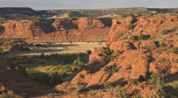JE Canyon is home to more than 850 species of plants and animals, including bear, elk, mule deer, and Colorado’s largest private herd of Rocky Mountain bighorn sheep.