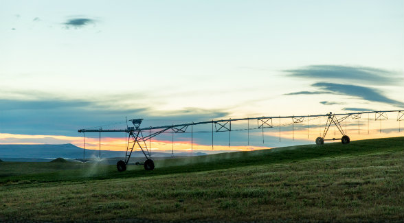 Land Report 2018 Farmland Deal of the Year: Walla Walla Masterpiece