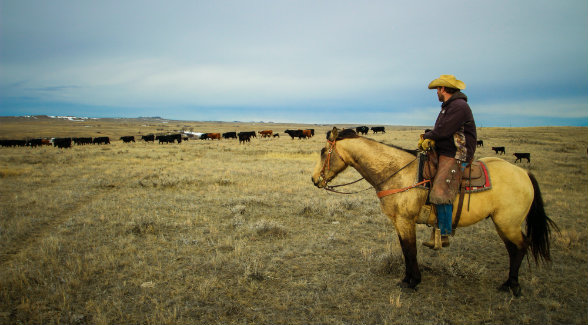 Land Report 2018 Auction Deal of the Year: Western South Dakota Auction